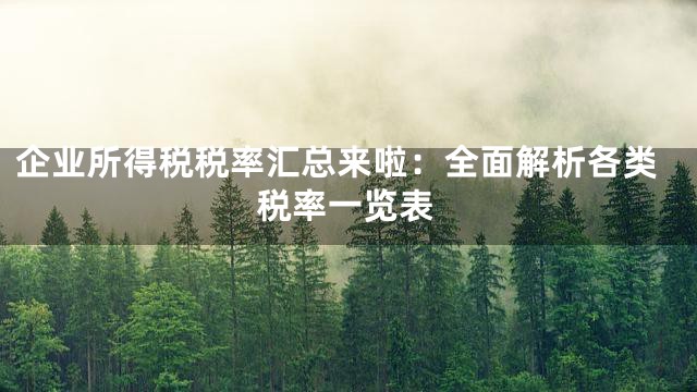 企业所得税税率汇总来啦：全面解析各类税率一览表