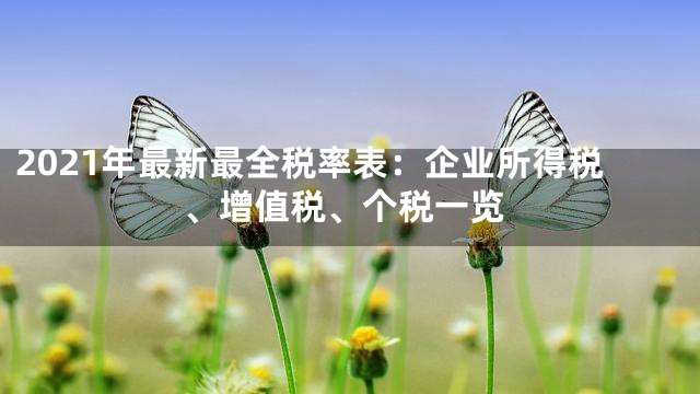 2021年最新最全税率表：企业所得税、增值税、个税一览