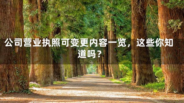 公司营业执照可变更内容一览，这些你知道吗？