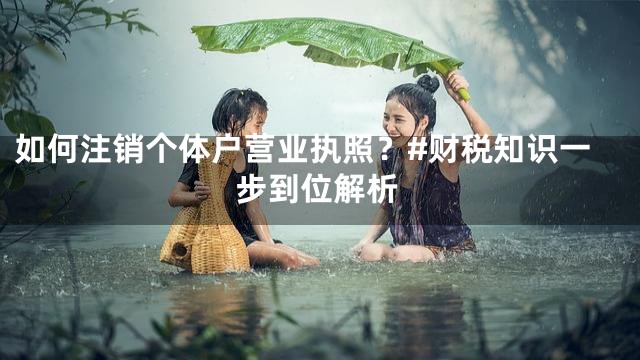 如何注销个体户营业执照？#财税知识一步到位解析