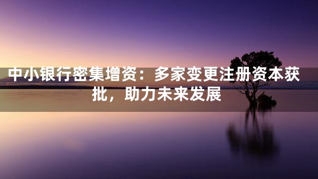 中小银行密集增资：多家变更注册资本获批，助力未来发展