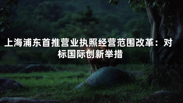 上海浦东首推营业执照经营范围改革：对标国际创新举措
