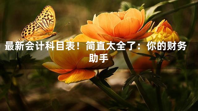 最新会计科目表！简直太全了：你的财务助手