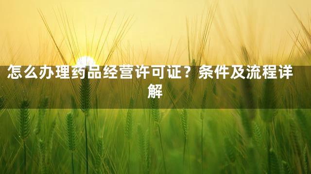 怎么办理药品经营许可证？条件及流程详解