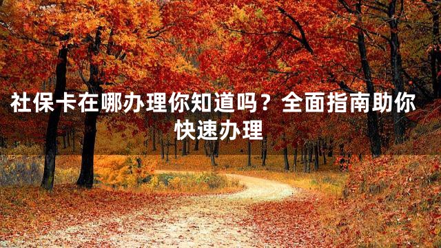 社保卡在哪办理你知道吗？全面指南助你快速办理