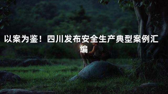 以案为鉴！四川发布安全生产典型案例汇编