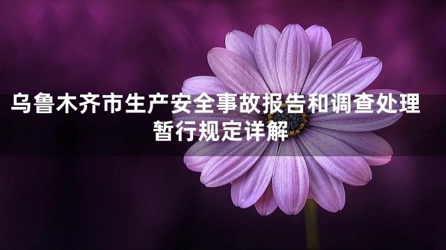 乌鲁木齐市生产安全事故报告和调查处理暂行规定详解