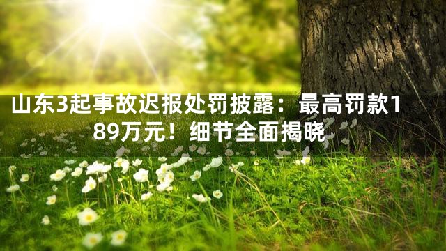 山东3起事故迟报处罚披露：最高罚款189万元！细节全面揭晓