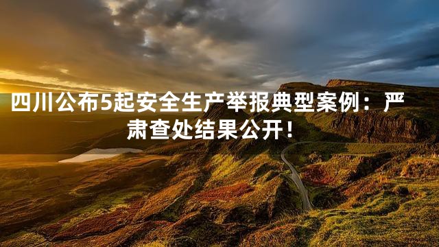 四川公布5起安全生产举报典型案例：严肃查处结果公开！