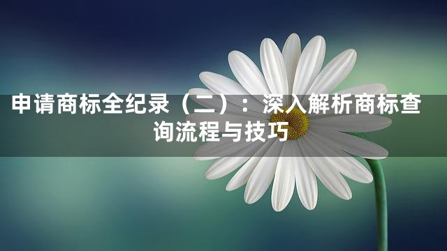 申请商标全纪录（二）：深入解析商标查询流程与技巧