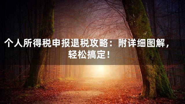 个人所得税申报退税攻略：附详细图解，轻松搞定！