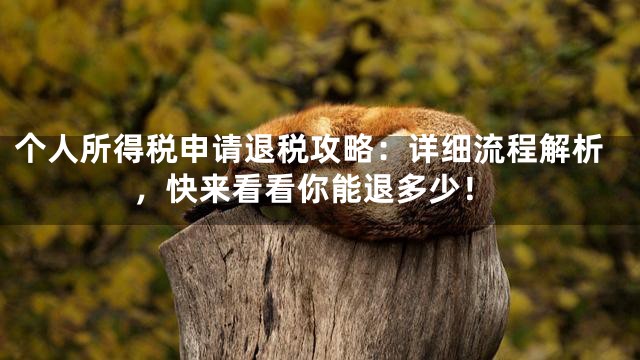个人所得税申请退税攻略：详细流程解析，快来看看你能退多少！