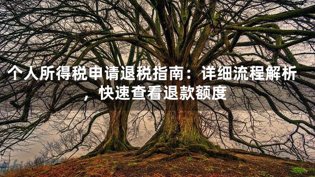 个人所得税申请退税指南：详细流程解析，快速查看退款额度