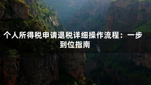 个人所得税申请退税详细操作流程：一步到位指南
