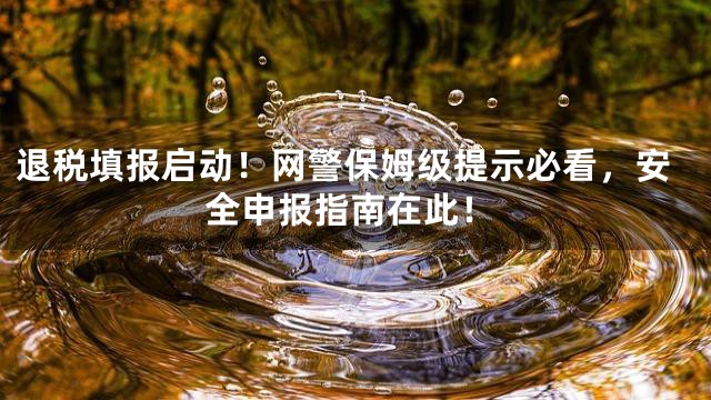 退税填报启动！网警保姆级提示必看，安全申报指南在此！