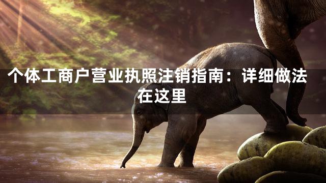 个体工商户营业执照注销指南：详细做法在这里