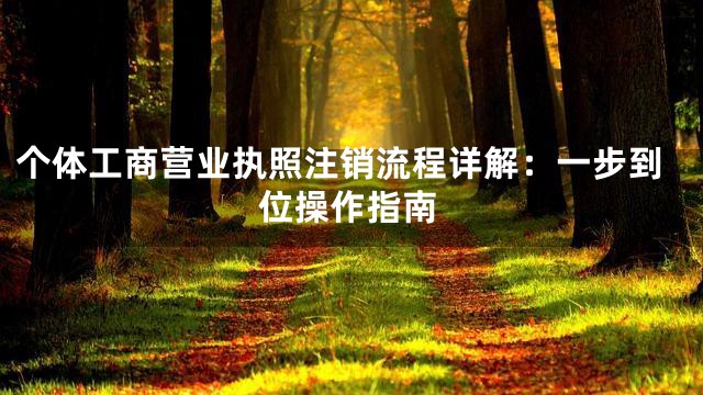 个体工商营业执照注销流程详解：一步到位操作指南
