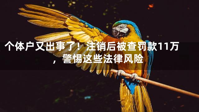 个体户又出事了！注销后被查罚款11万，警惕这些法律风险