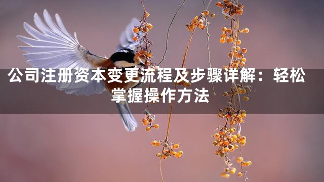 公司注册资本变更流程及步骤详解：轻松掌握操作方法