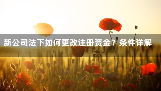 新公司法下如何更改注册资金？条件详解