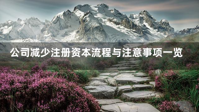 公司减少注册资本流程与注意事项一览