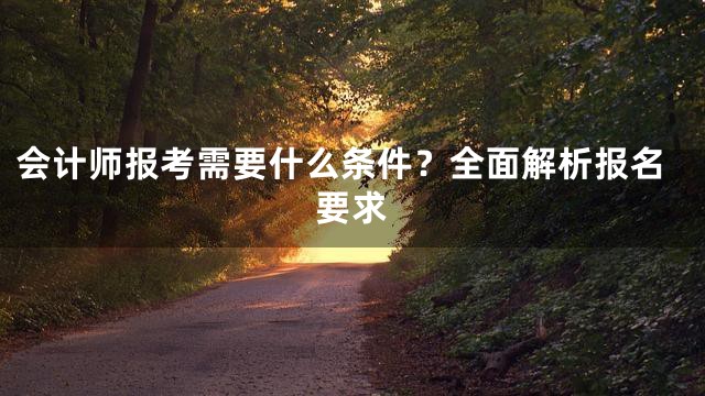 会计师报考需要什么条件？全面解析报名要求