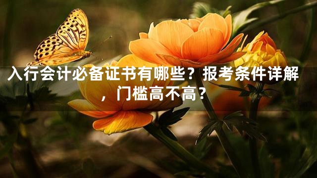 入行会计必备证书有哪些？报考条件详解，门槛高不高？