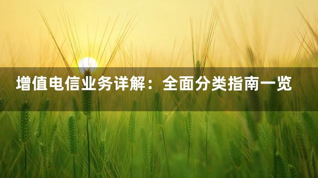 增值电信业务详解：全面分类指南一览