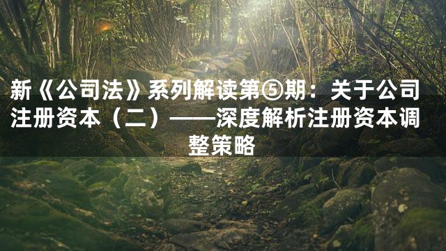 新《公司法》系列解读第⑤期：关于公司注册资本（二）——深度解析注册资本调整策略