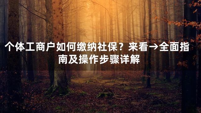 个体工商户如何缴纳社保？来看→全面指南及操作步骤详解