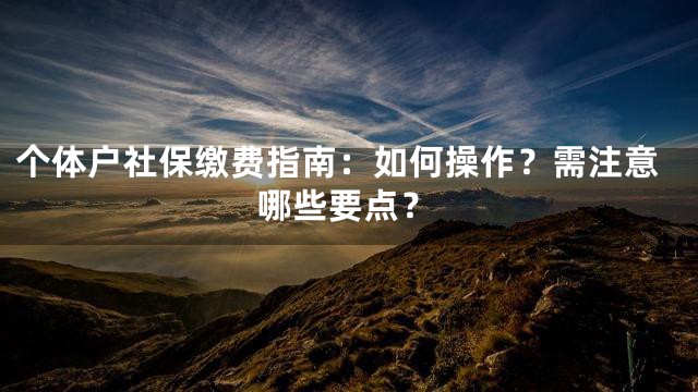 个体户社保缴费指南：如何操作？需注意哪些要点？