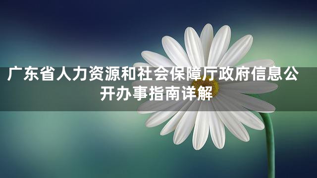 广东省人力资源和社会保障厅政府信息公开办事指南详解