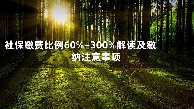 社保缴费比例60%~300%解读及缴纳注意事项