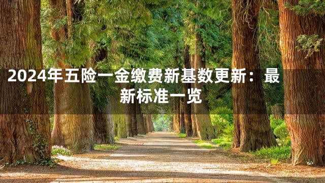 2024年五险一金缴费新基数更新：最新标准一览