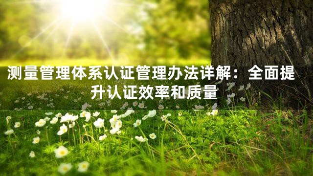 测量管理体系认证管理办法详解：全面提升认证效率和质量