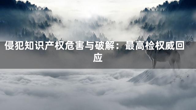 侵犯知识产权危害与破解：最高检权威回应