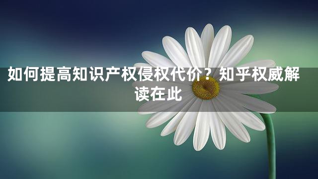 如何提高知识产权侵权代价？知乎权威解读在此