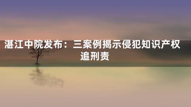 湛江中院发布：三案例揭示侵犯知识产权追刑责