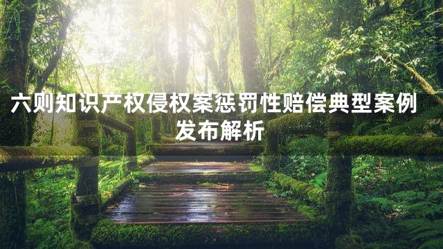 六则知识产权侵权案惩罚性赔偿典型案例发布解析