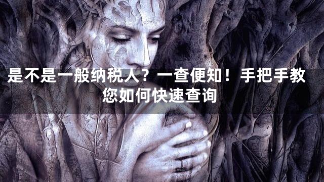 是不是一般纳税人？一查便知！手把手教您如何快速查询