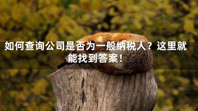如何查询公司是否为一般纳税人？这里就能找到答案！