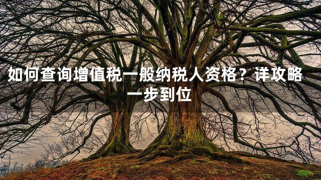 如何查询增值税一般纳税人资格？详攻略一步到位
