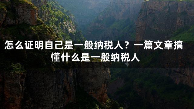 怎么证明自己是一般纳税人？一篇文章搞懂什么是一般纳税人