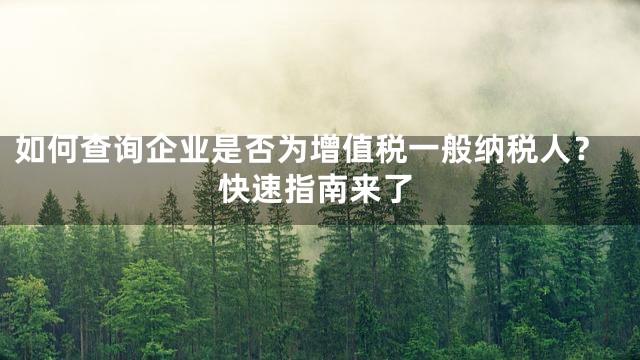 如何查询企业是否为增值税一般纳税人？快速指南来了