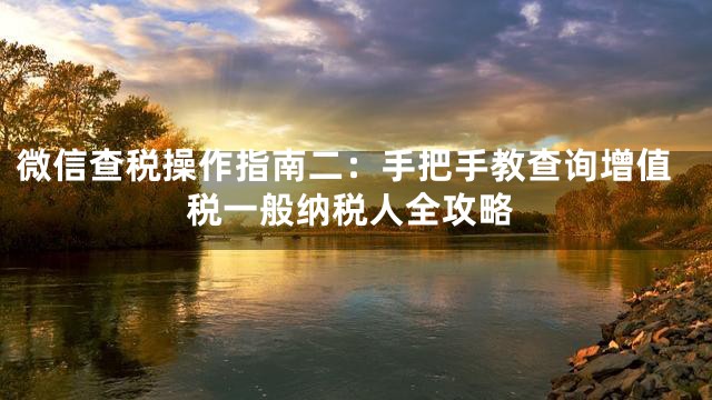 微信查税操作指南二：手把手教查询增值税一般纳税人全攻略