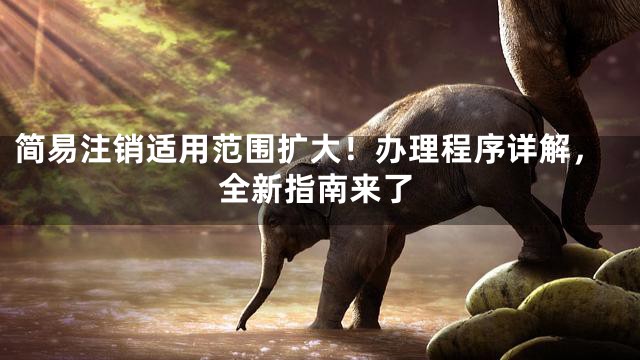 简易注销适用范围扩大！办理程序详解，全新指南来了