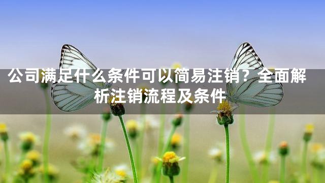 公司满足什么条件可以简易注销？全面解析注销流程及条件