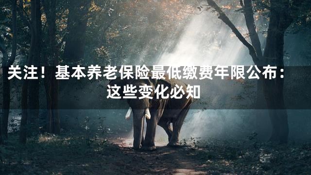 关注！基本养老保险最低缴费年限公布：这些变化必知