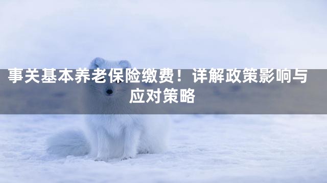 事关基本养老保险缴费！详解政策影响与应对策略