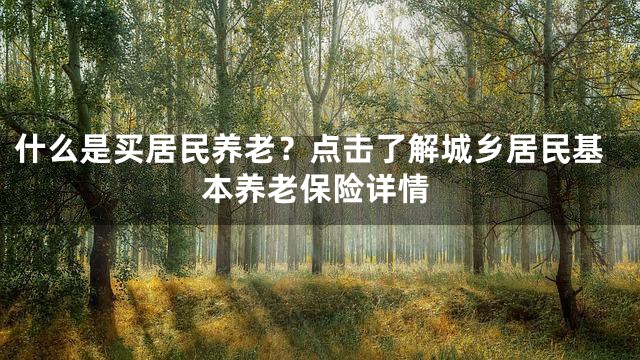 什么是买居民养老？点击了解城乡居民基本养老保险详情